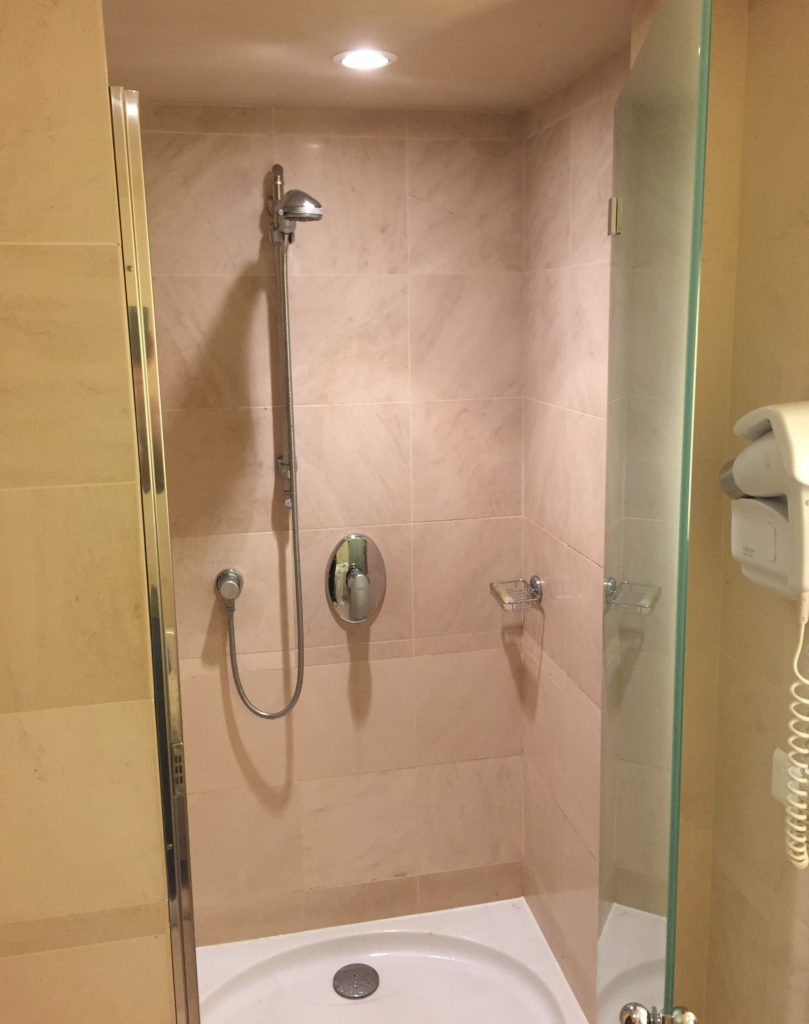 hyatt_nice shower